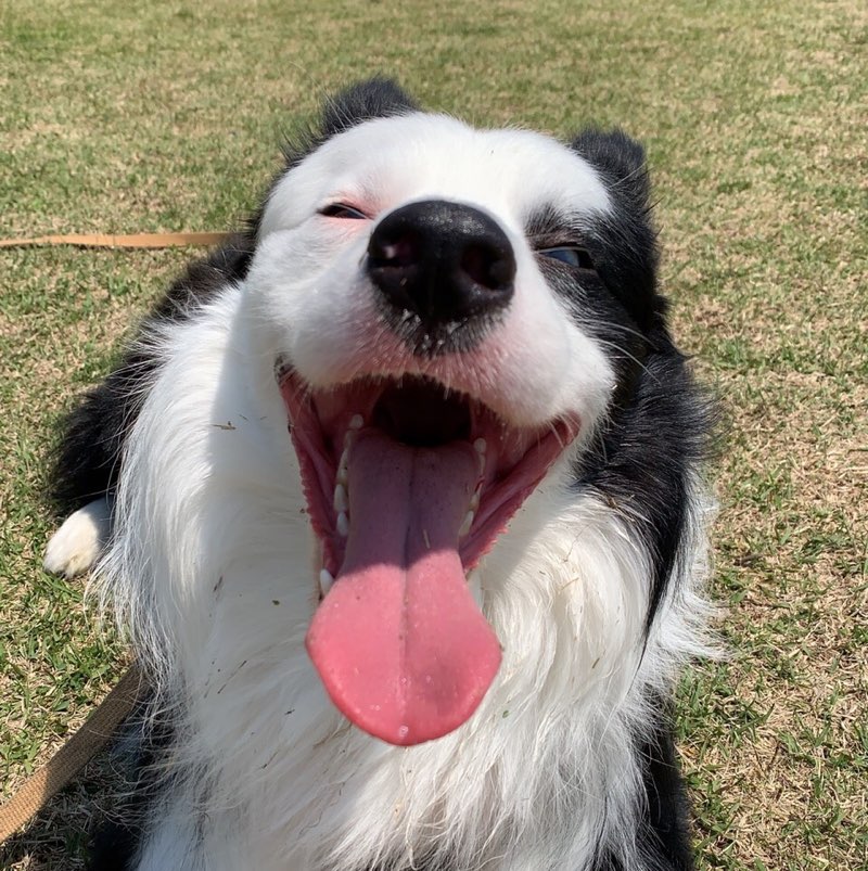 ゆっくり 歩くよ 宏泰1968は…🇯🇵