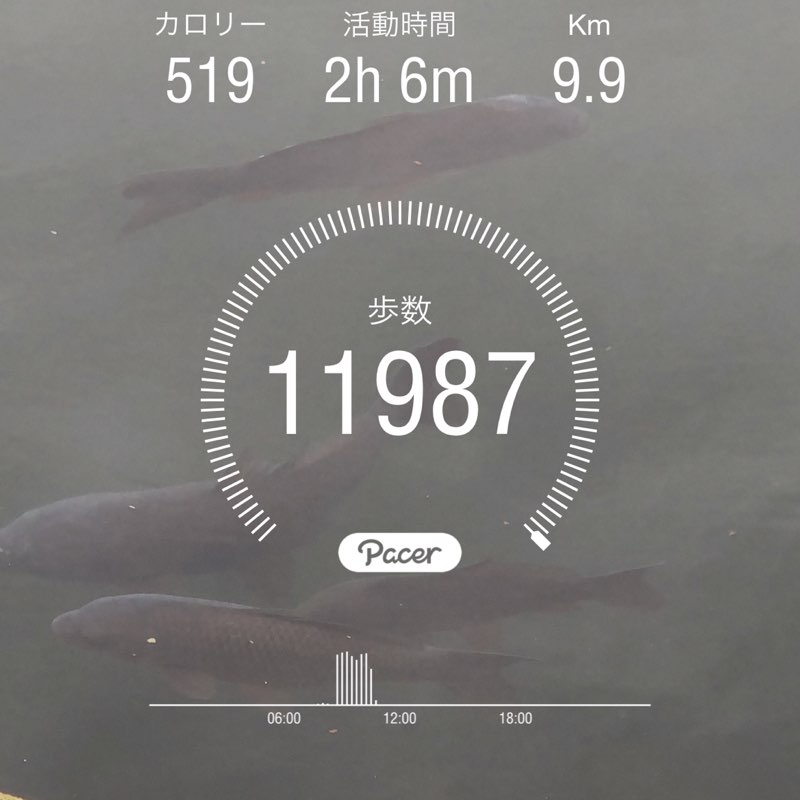 ゆっくり 歩くよ 宏泰1968は…🇯🇵 post 1