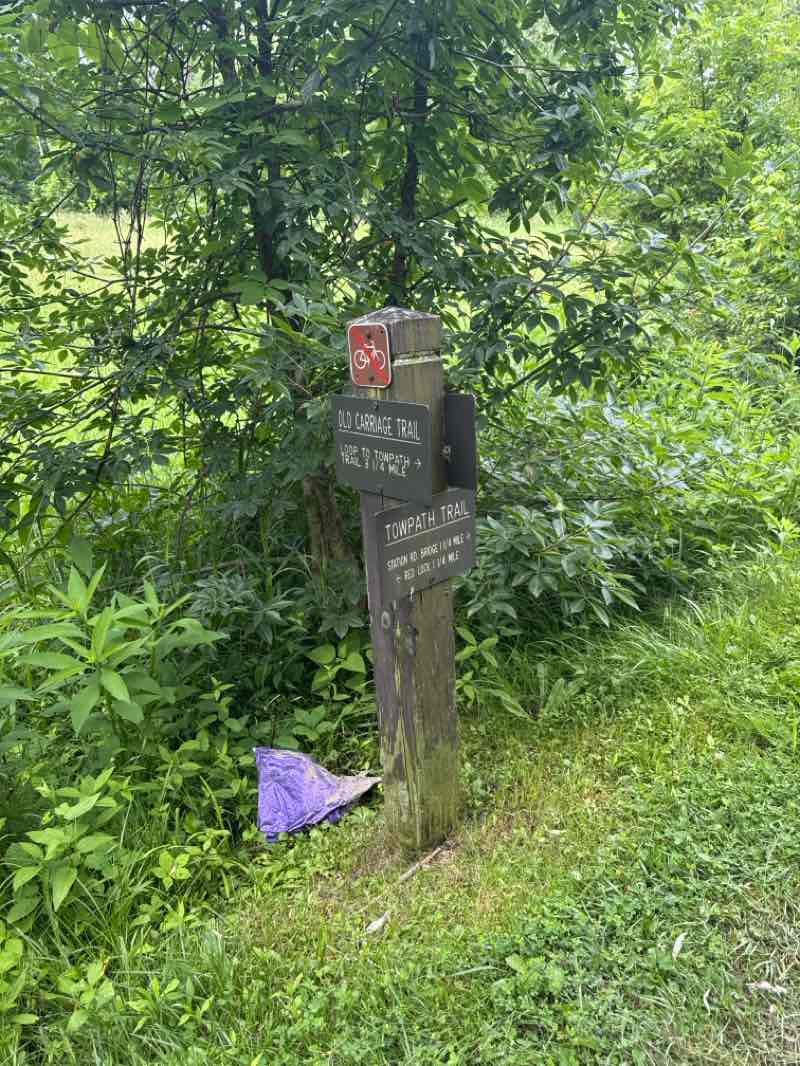 walking near me in Cuyahoga Valley National Park in summer