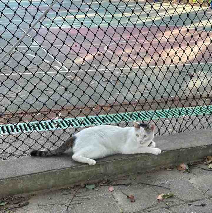 逋逋向前衝 post 2