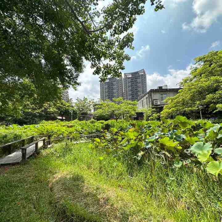 逋逋向前衝 post 2