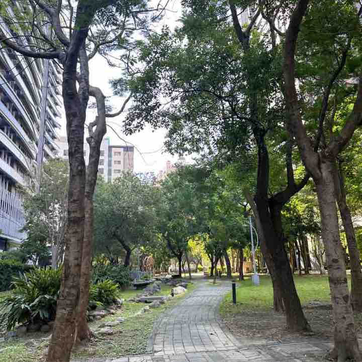 逋逋向前衝 post 3