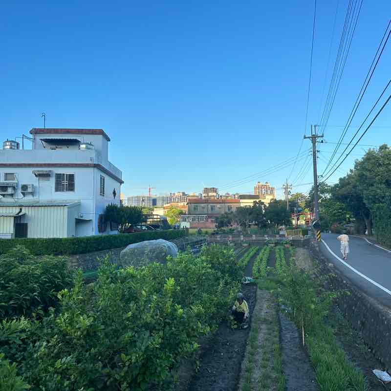 逋逋向前衝 post 3