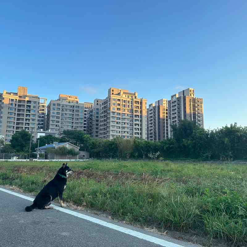 逋逋向前衝 post 2