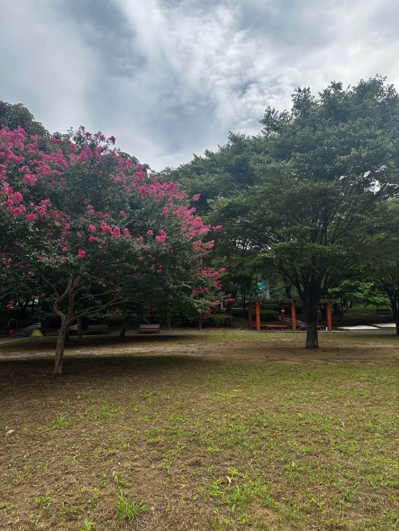 walking near me in 안양천 체육 생태공원 in autumn