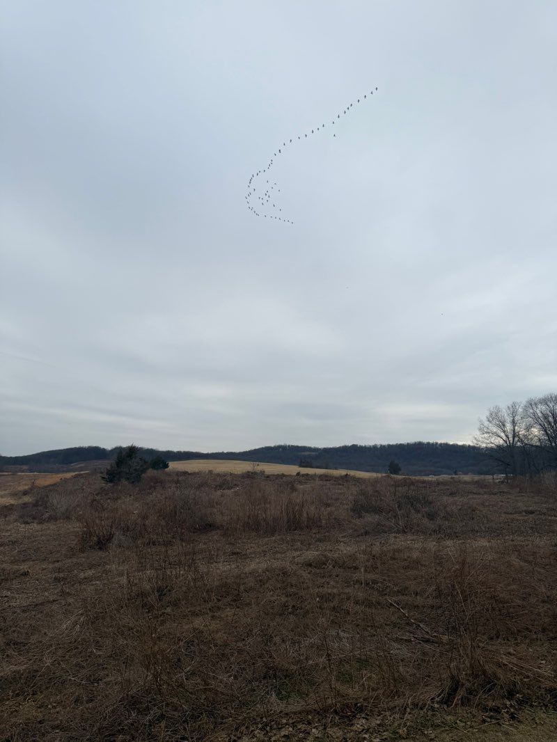walking near me in Middle Creek Wildlife Management Area in spring