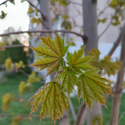 ВМЕСТЕ ВЕСЕЛО ШАГАТЬ!🚶🏼‍♀️🚶🏼 Гузель🌸 post image