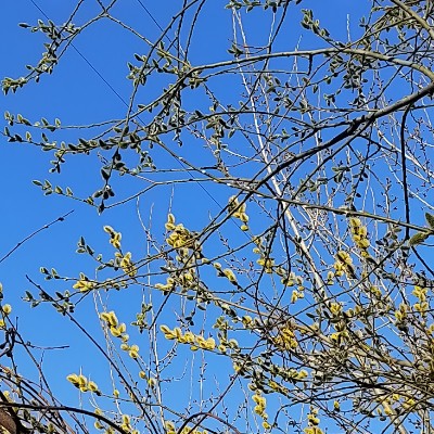 ВМЕСТЕ ВЕСЕЛО ШАГАТЬ!🚶🏼‍♀️🚶🏼 Гузель🌸 post image