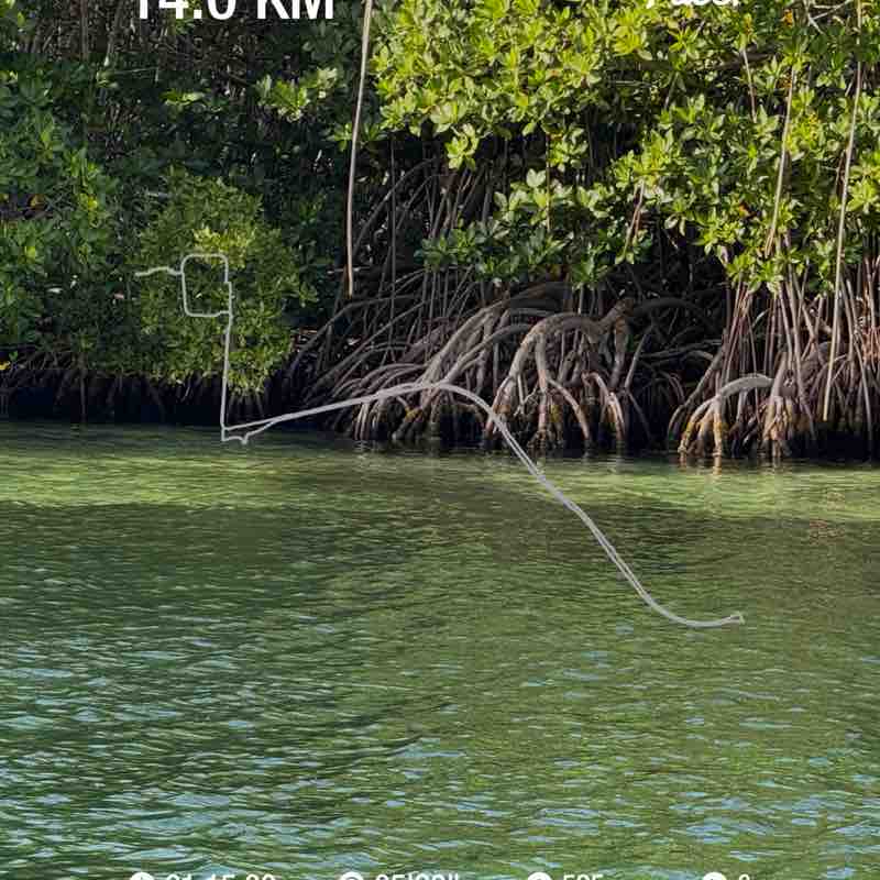 Carlos Camilo post 1