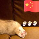 张晨⁶⁶⁶