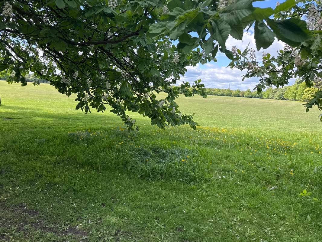 walking near me in The Stray or Two Hundred Acre in spring
