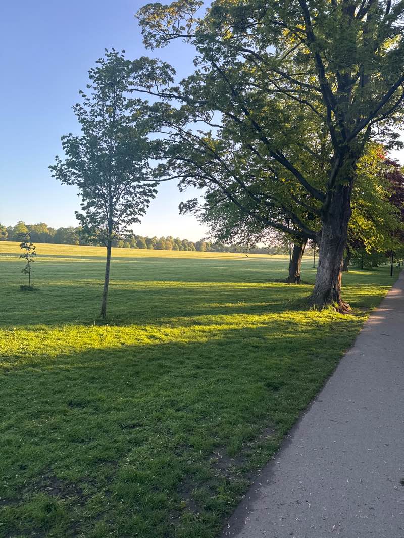walking near me in The Stray or Two Hundred Acre in spring