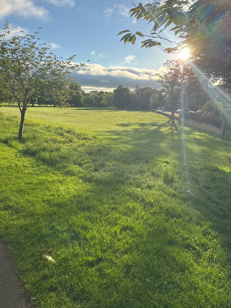 walking near me in The Stray or Two Hundred Acre in summer