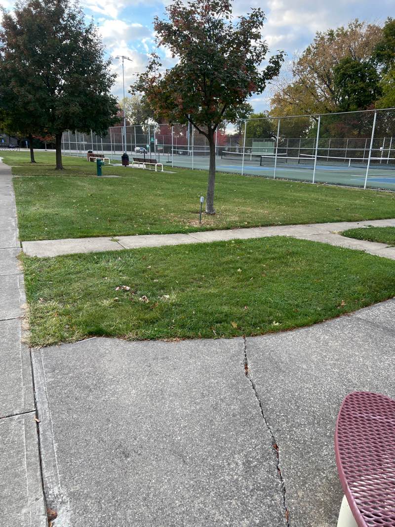walking near me in Blesser Park in autumn