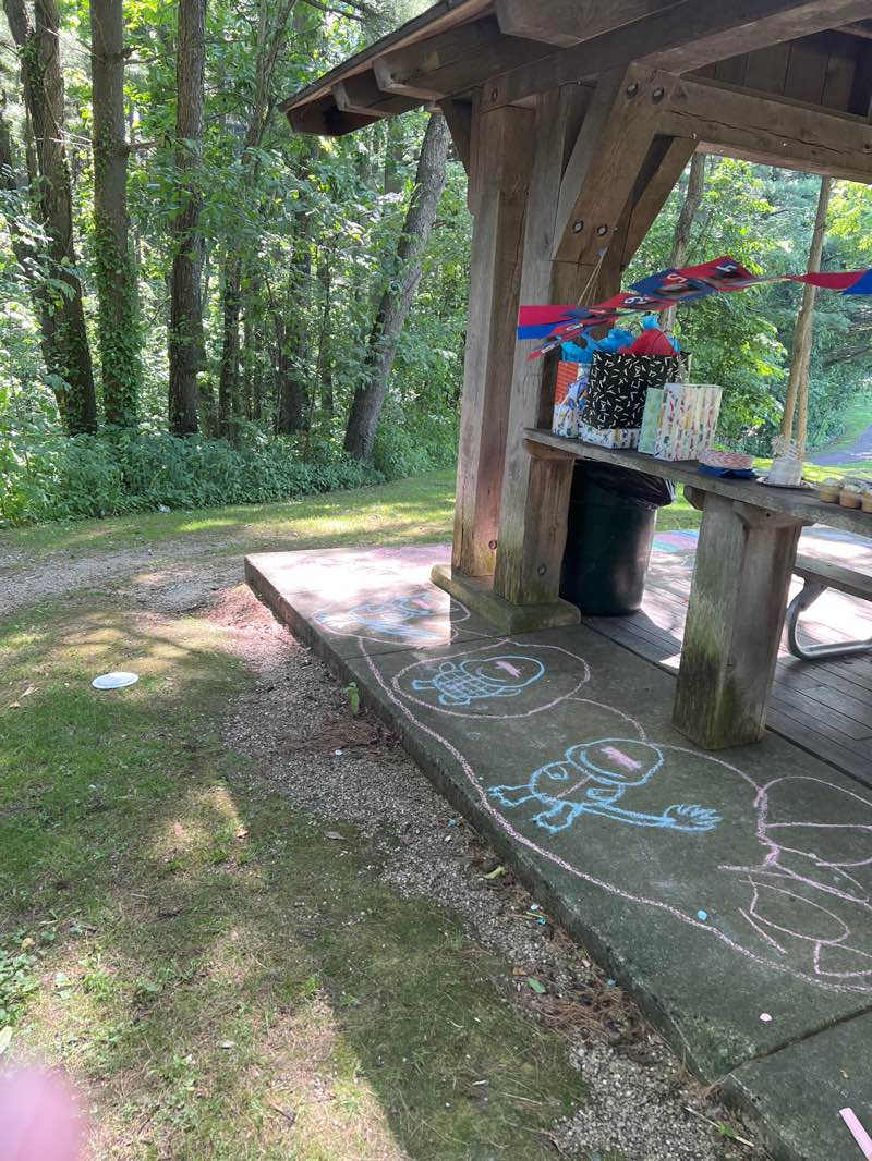 walking near me in Allardale Park in summer