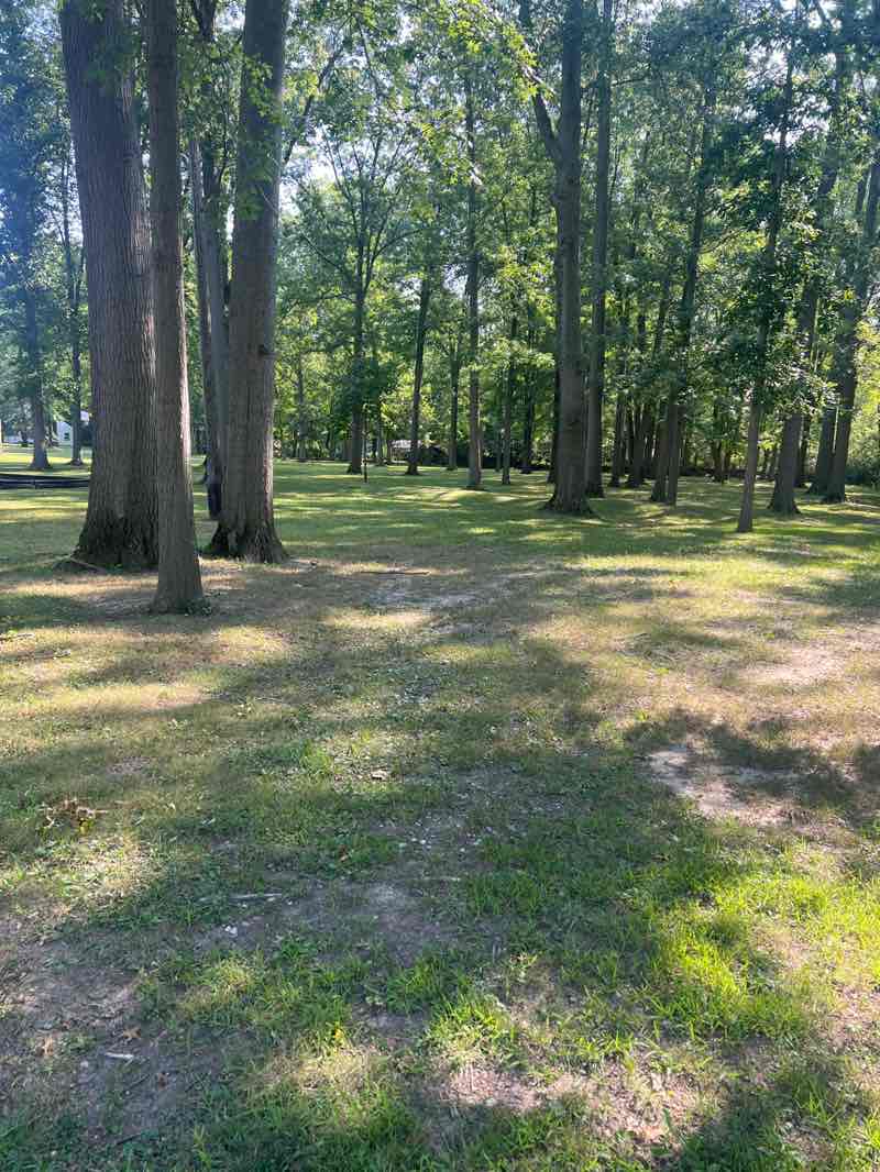 walking near me in Inwood Park in autumn