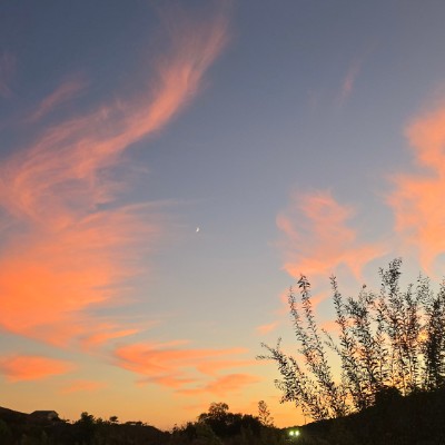 The Anemic Girlies Mayra post image