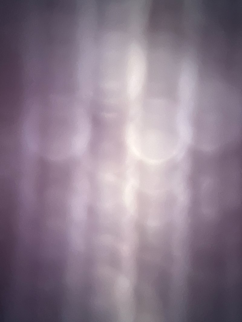 walking near me in Mike Fox Park in winter