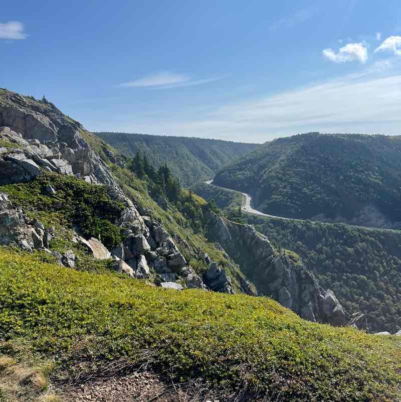 Jamie O'Reilly - Yellow House💛 post 2