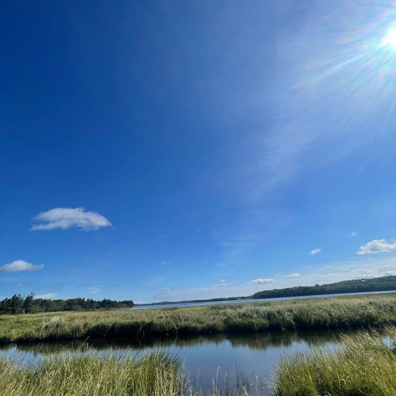 Jamie O'Reilly - Yellow House💛 post 1