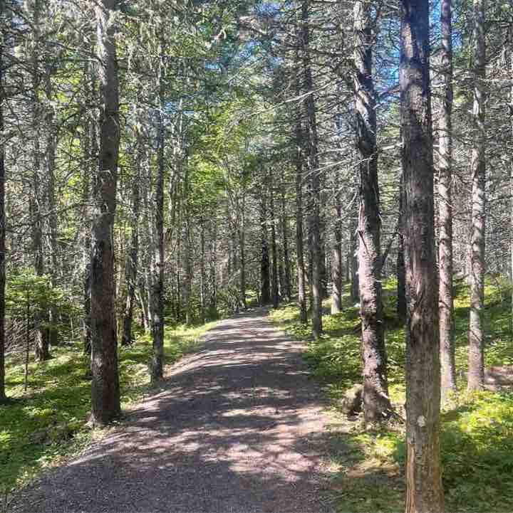 Jamie O'Reilly - Yellow House💛 post 1