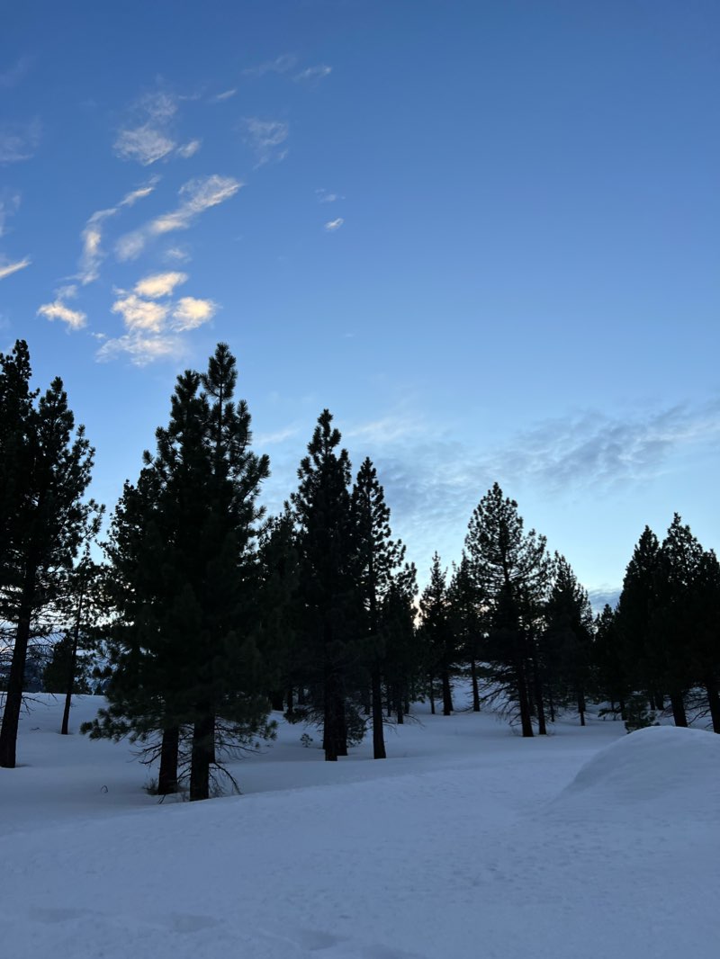walking near me in Mammoth Creek Park West in winter