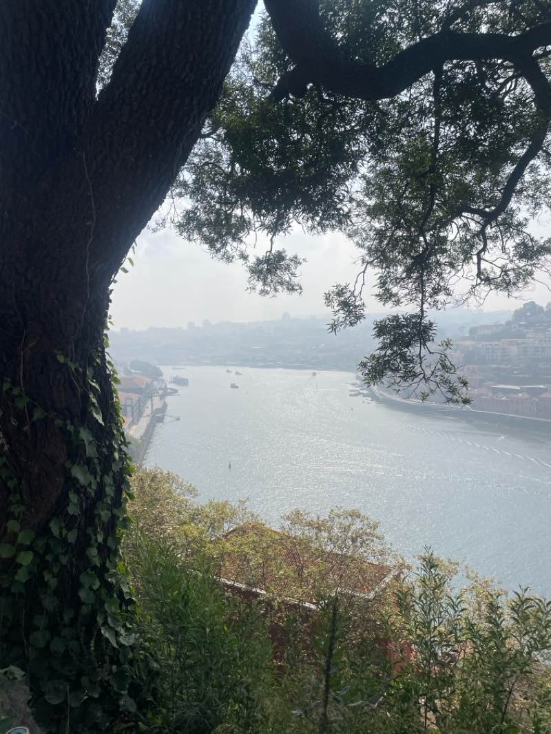 walking near me in Jardins do Museu Romântico in winter