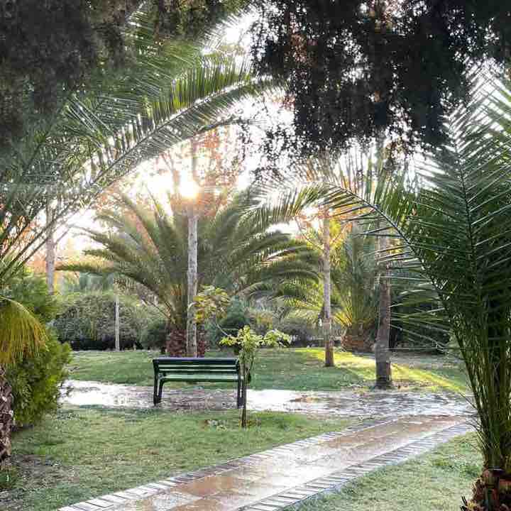 ایران siamak post image