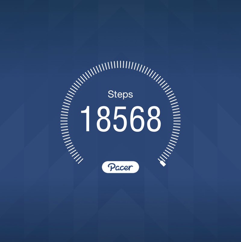 قدم زنی در شیراز siamak post image