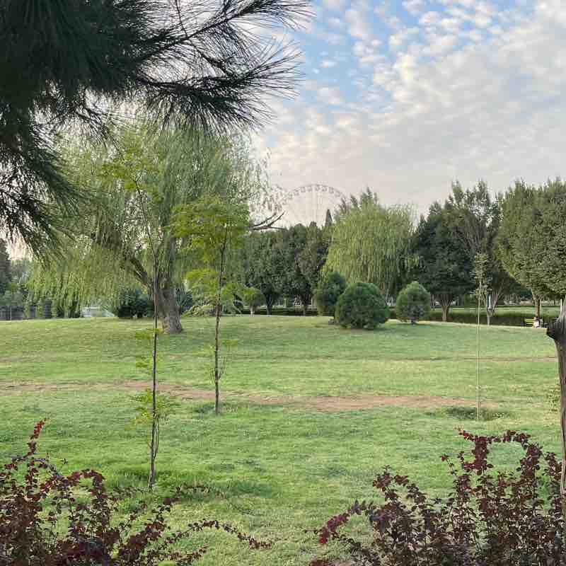 قدم زنی در شیراز siamak post image