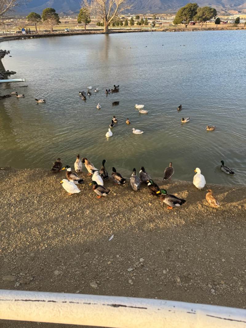 walking near me in Graham County Fairgrounds in winter