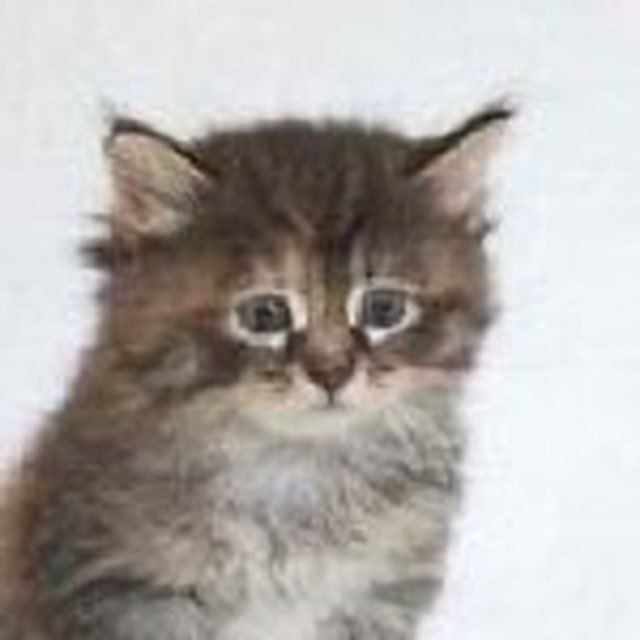 Виктория profile