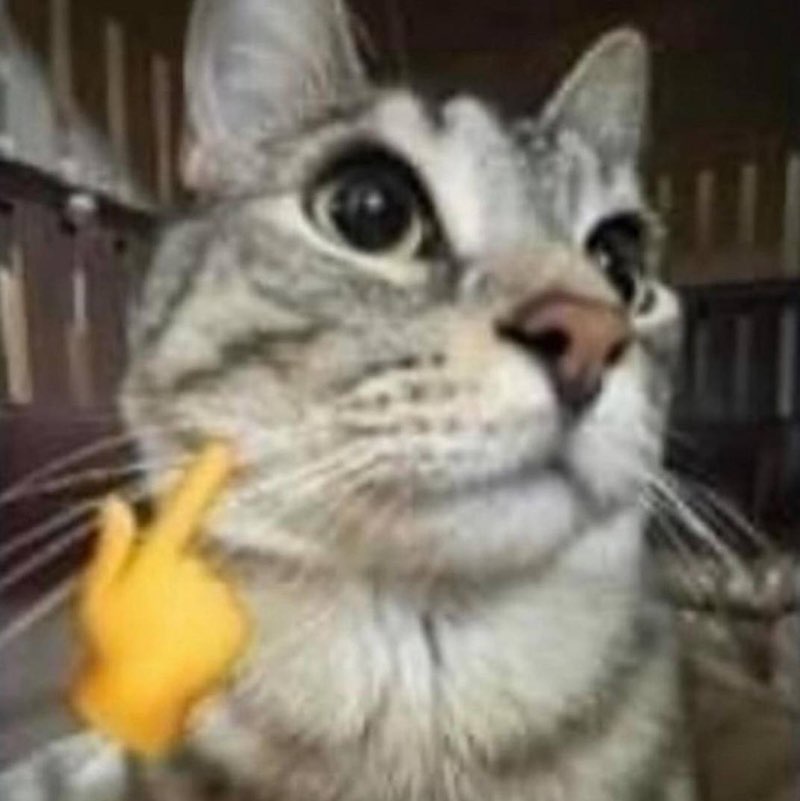 Фитоняш Виктория post image