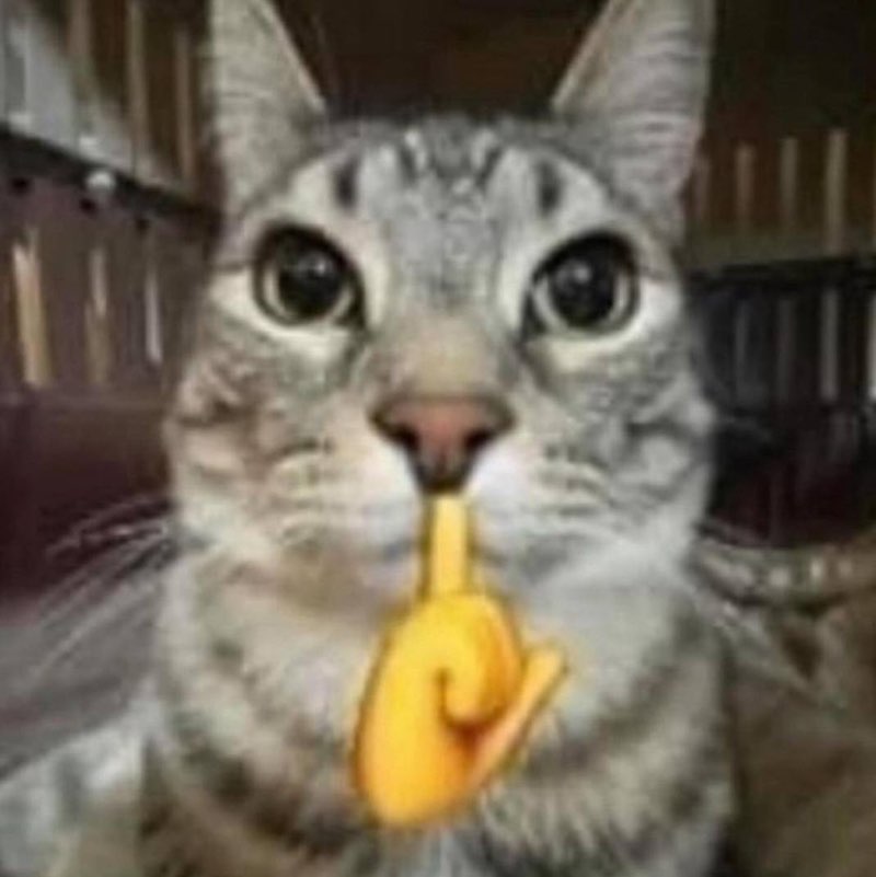 Фитоняш Виктория post image