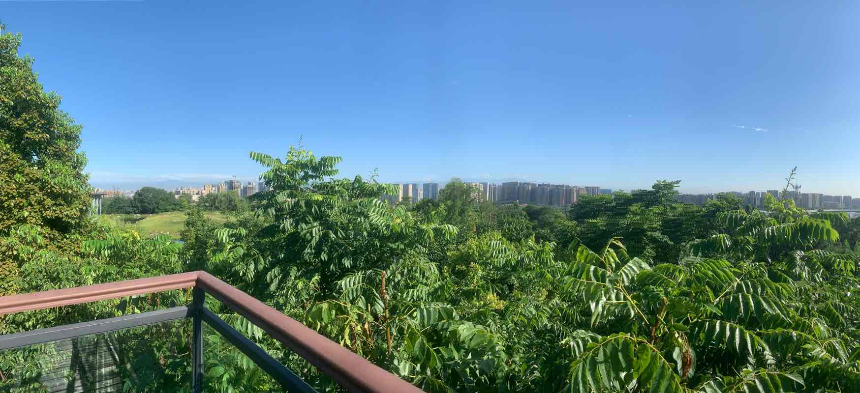 walking near me in Mt. Fenghuang Park in winter