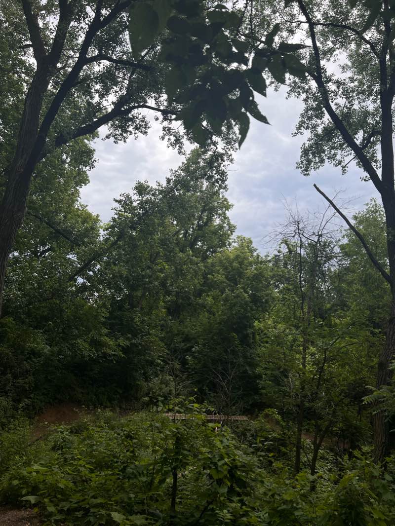 walking near me in Battle Creek Regional Park in winter