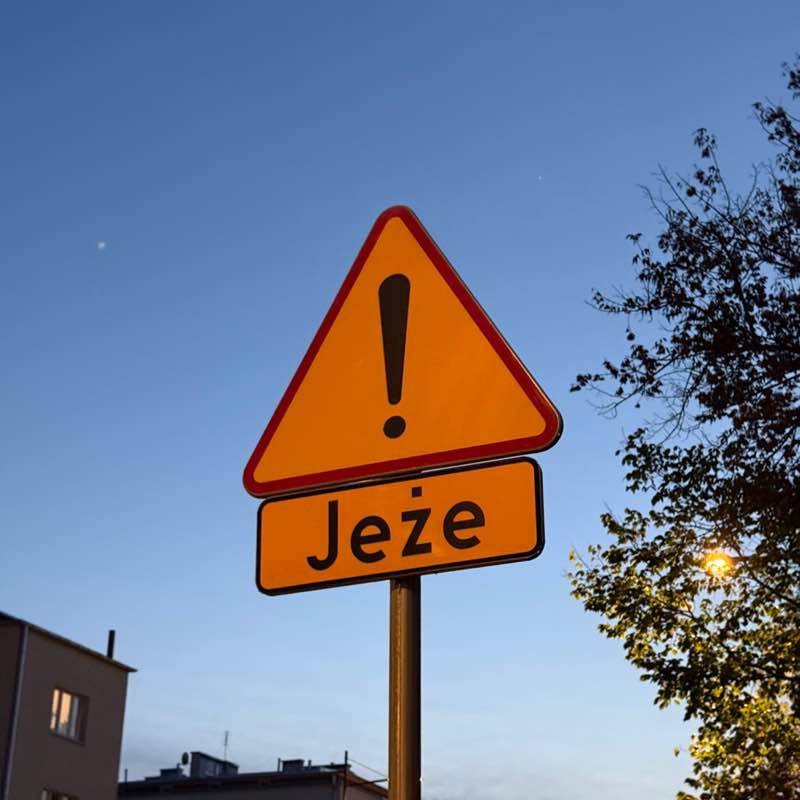 Evgeniya Vasilyeva post 1