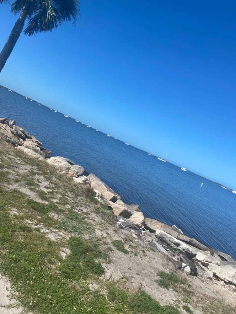 walking near me in Sand Point Park in winter