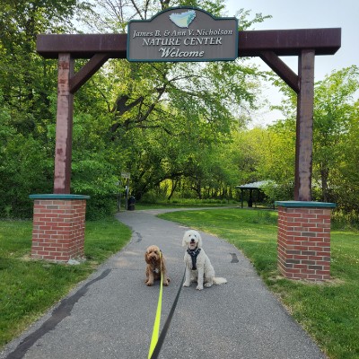 Marianne.hanselman@corewellhealth.org post 1