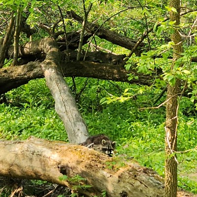 Marianne.hanselman@corewellhealth.org post 2