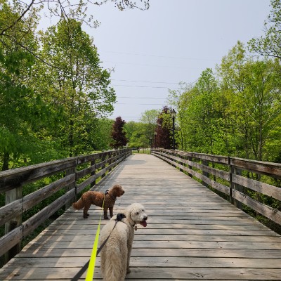 Marianne.hanselman@corewellhealth.org post 3