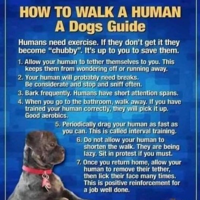 Marianne.hanselman@corewellhealth.org post 1