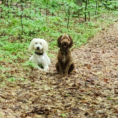 Marianne.hanselman@corewellhealth.org post 1