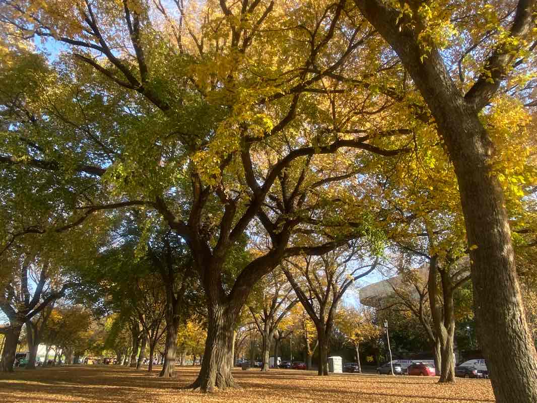 walking near me in L'Enfant Square in winter