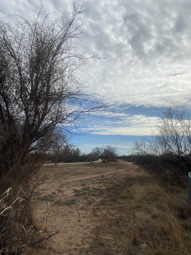 walking near me in UTPB Park in winter