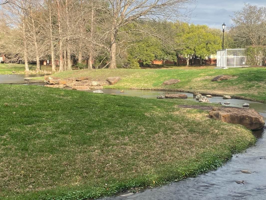 walking near me in Ellis Creek Park in winter