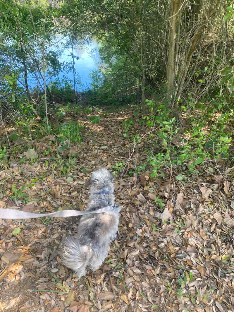 walking near me in Buffalo Run Park in winter