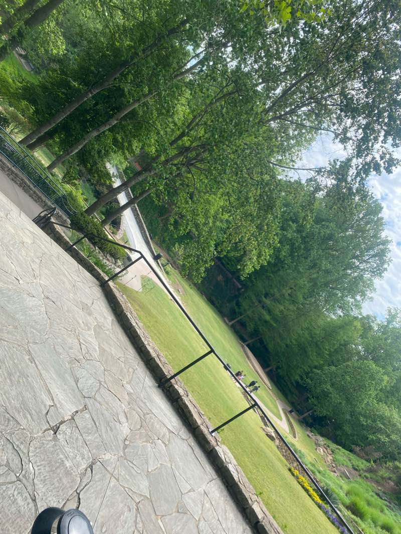 walking near me in Falls Park in winter