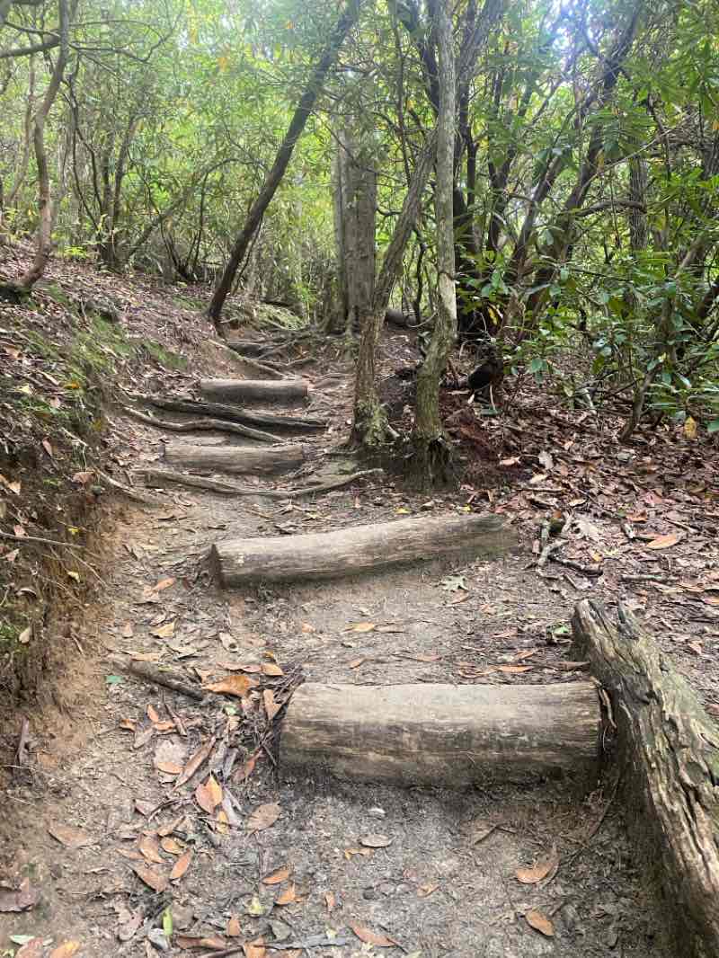 walking near me in Mountain Bridge Wilderness Area in winter
