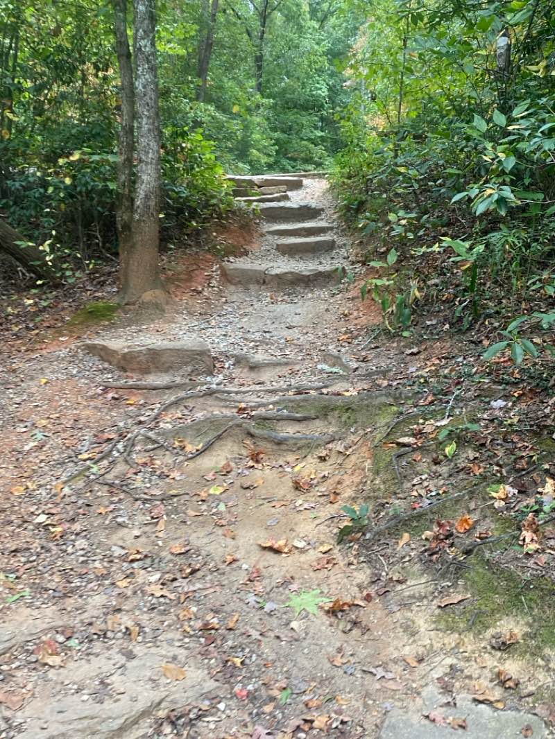 walking near me in Campbell's Covered Bridge Park in winter